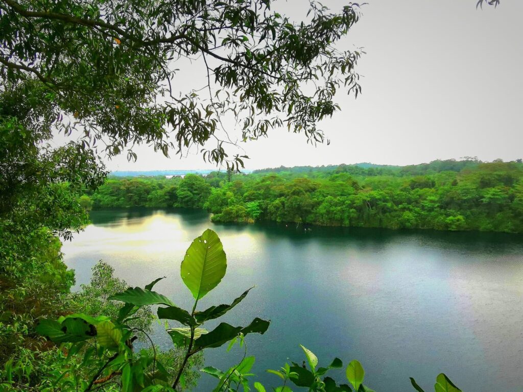 pulau ubin quarry forest singapore