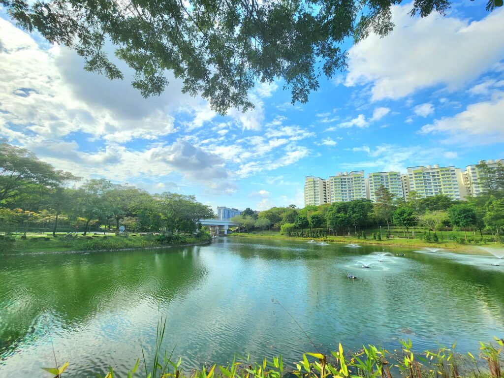 punggol park connector pond singapore