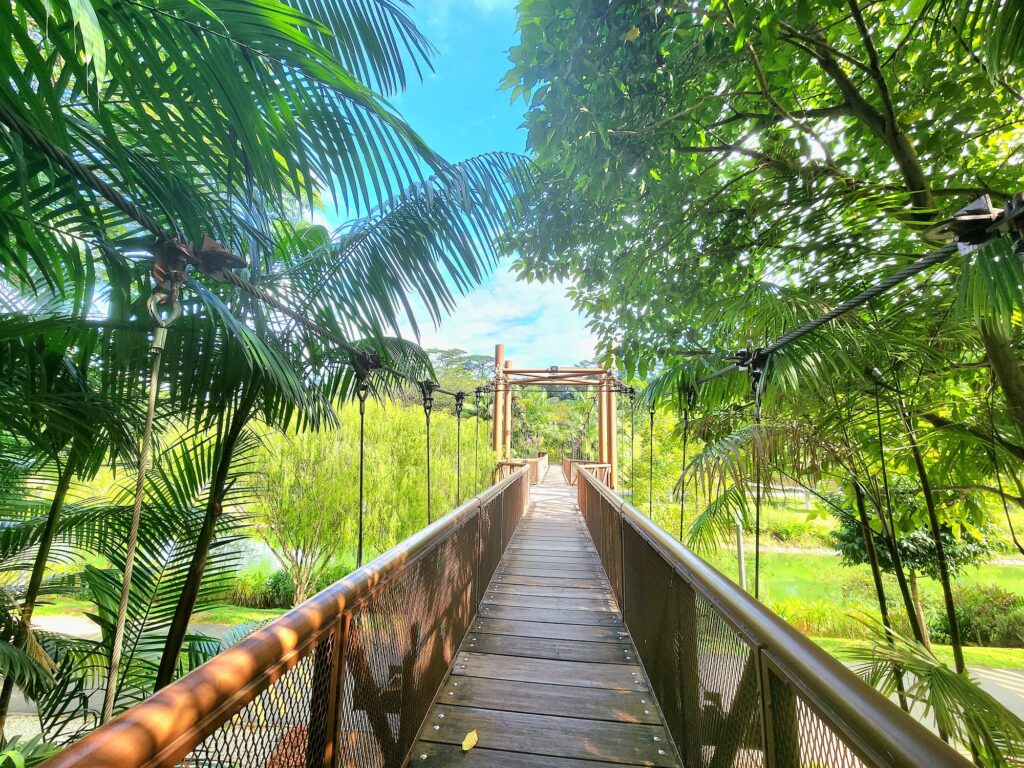 punggol park connector bridge singapore