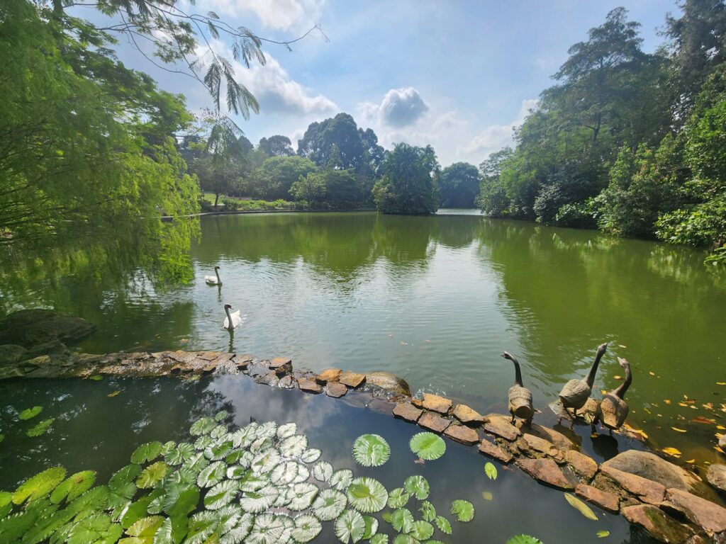 symphony lake botanic gardens singapore