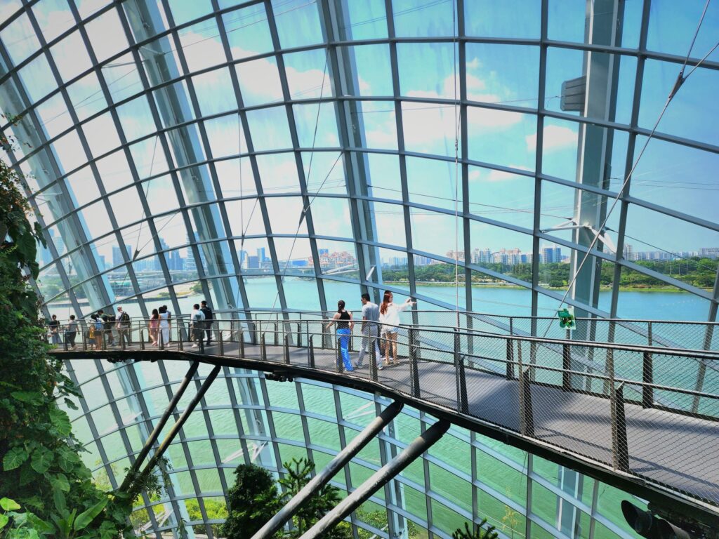 cloud forest bridge gardens by the bay singapore