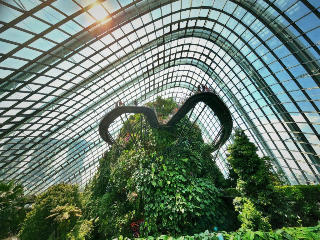 cloud forest waterfall gardens by the bay singapore