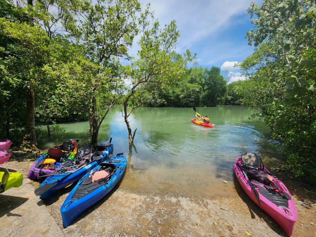 pulau ubin kayaking singapopre